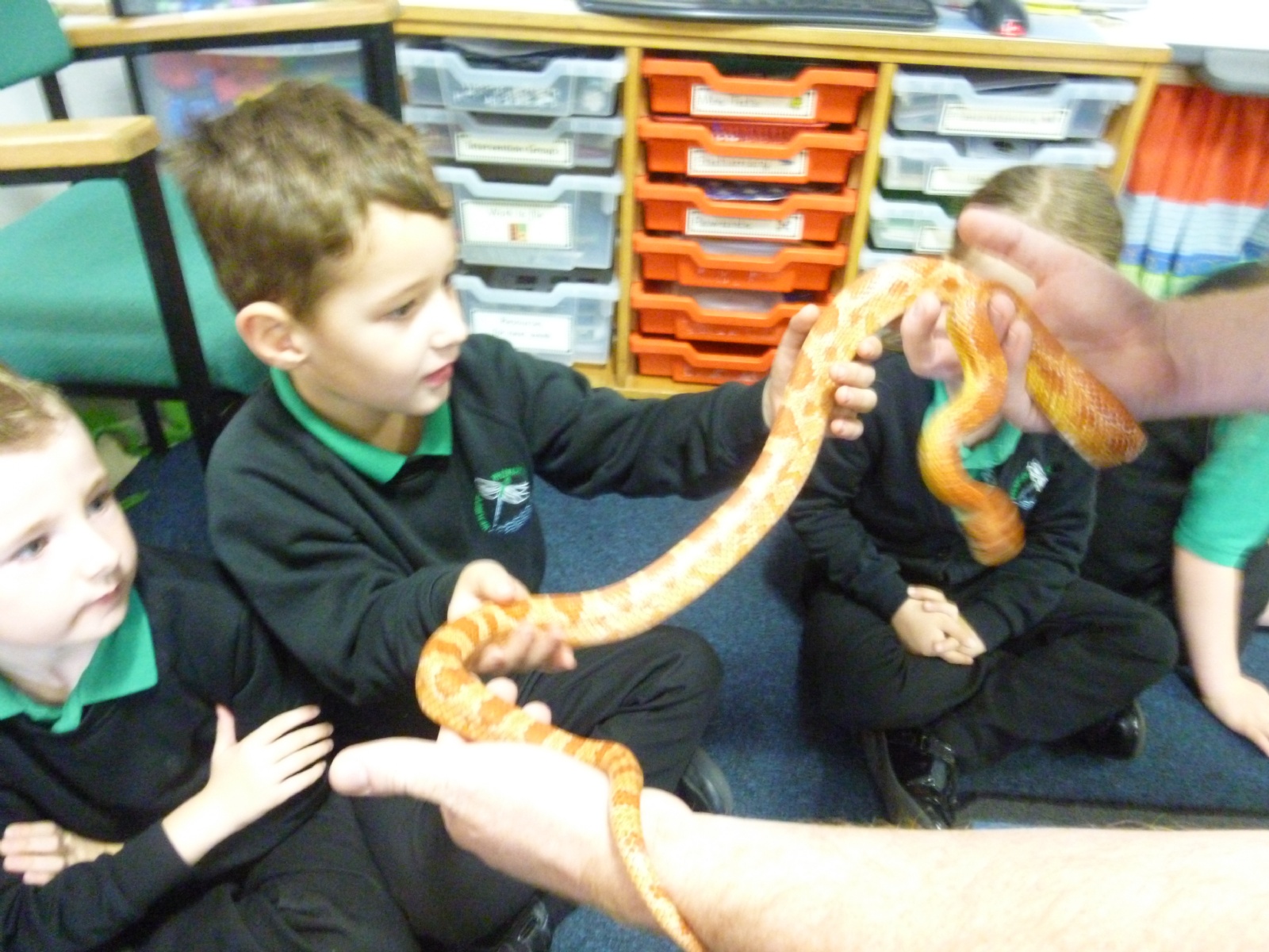Nursery Animal Visits at Caitlyn Tooth blog